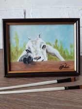 Freundliche weiße Ziege