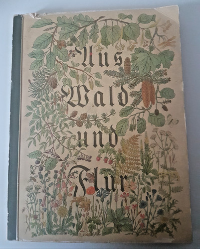Aus wald und flur - 1, von