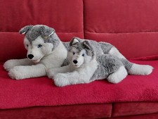 Steiff Tiere Husky Set 60 cm + 40 cm | Knopf im Ohr | Top Zustand | Sammler 