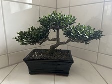 Bonsai Kunstpflanze Kunstblume
