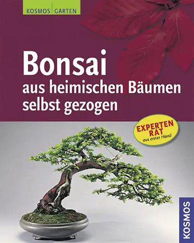 Bonsai aus heimischen bäumen - bonsai,