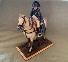 Napoleon im Frankreich-Feldzug
