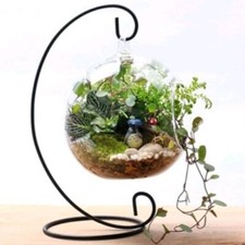 12 X Iron Black Hanging