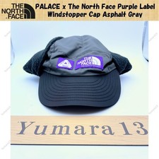 PALACE x The North Face Purple