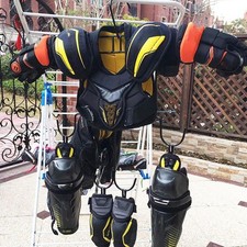 Hockeys Trockenständer