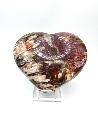 Versteinertes holz herzform - versteinertes,