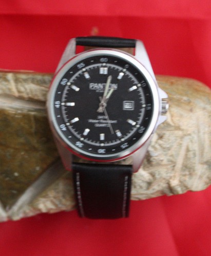 Panton/Armbanduhr/Klassik/unis
