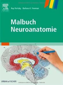 Malbuch neuroanatomie buch - neuroanatomie,