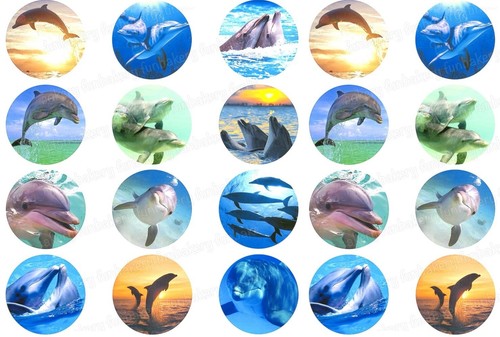 Delphin eßbar tortenbild - ,