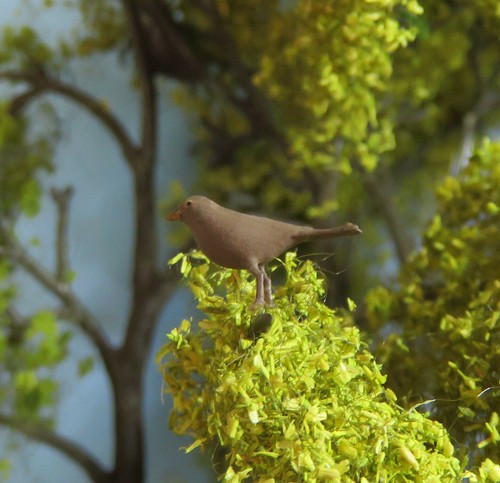 Amsel weibliches - (, 1:22,5