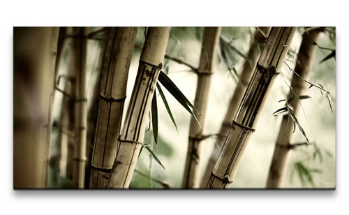 120x60cm leinwandbild bambus - 120x60cm,