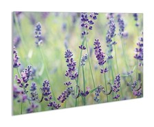 Wallario Schlüsselbrett aus