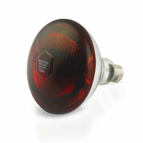 Infrarotlampe wärmelampe - infrarotlampe,