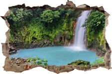 Wandtattoo Dschungel