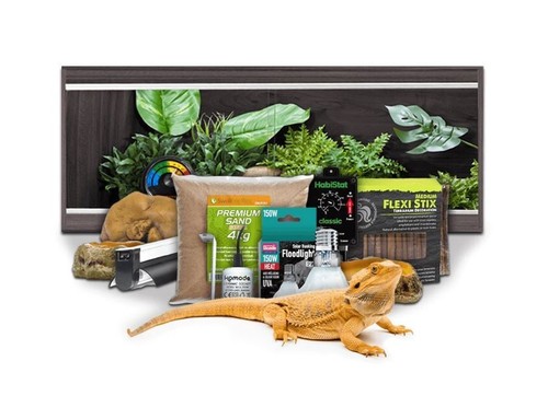 Swell reptilien bartagame - swell,
