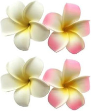 Hawaiianische