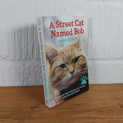 Street cat named - bob:, how