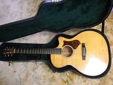 Acoustic Guitar Martin & Co