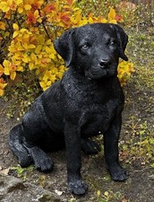 Gartenfigur Hund Labrador