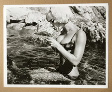 Elke Sommer (Pressefoto '60er)