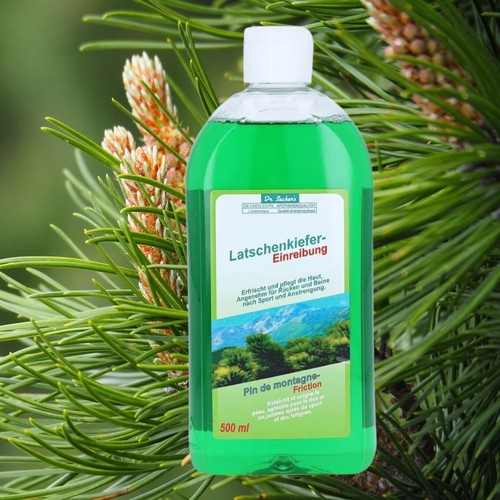 Sachers latschenkiefer - dr.,