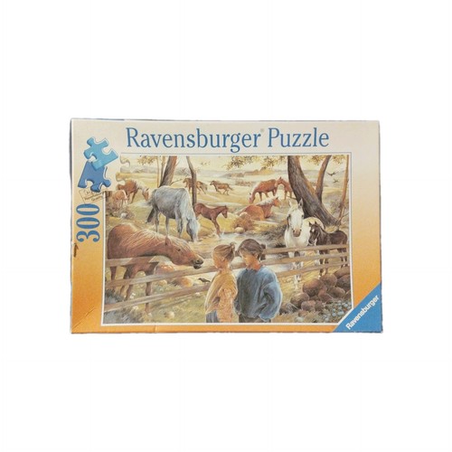 Ravensburger puzzle 300 - puzzle:, teile
