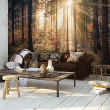 Wald Sonne Herbst Natur VLIES FOTOTAPETE 3D WOHNZIMMER TAPETE WANDBILD XXL