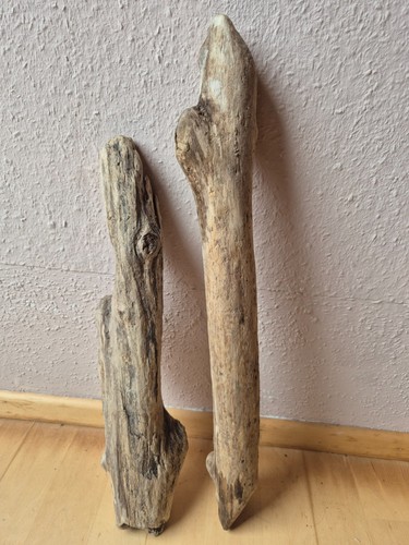 Treibholz wurzel ast brett - 2x,