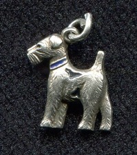 Terrier Hund Tier blaues