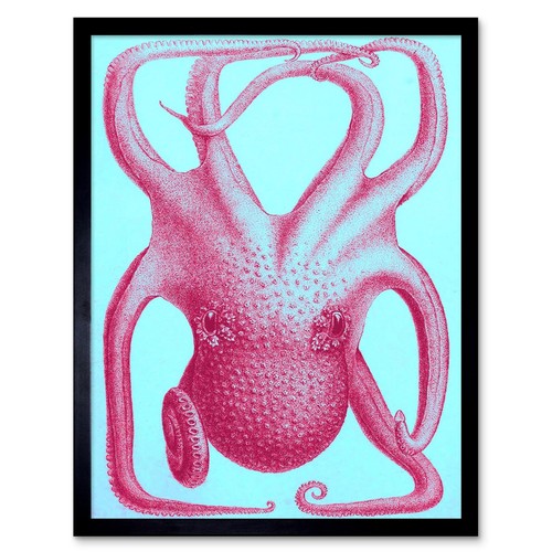 Rosa krake kunstplakat - krake,