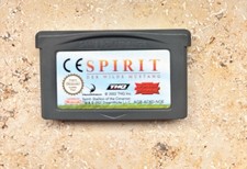 Spirit der wilde - wilde, mustang