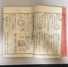 Rare Old Japanese Meiji Period Botany Book Woodblock Print
