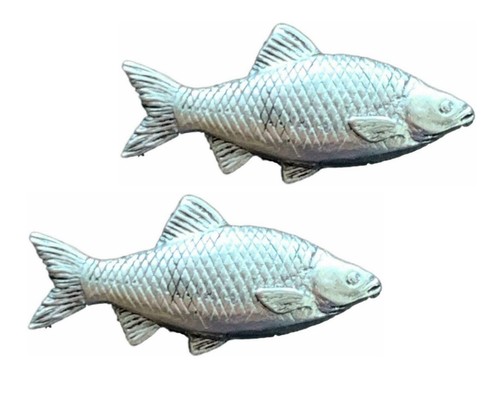 Rotaugen fisch angeln - 2,