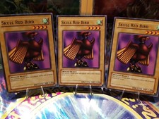 Yugioh 3 × Skull Red Bird