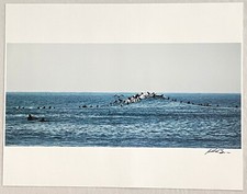 Surf Photo- "Crowded Peak"