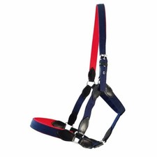 Halfter Lederabschlüsse sorgen für einen edlen Look, Nase und Genick unterlegt 