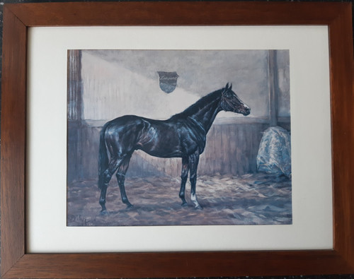 Lithografie pferdebild - lithografie,