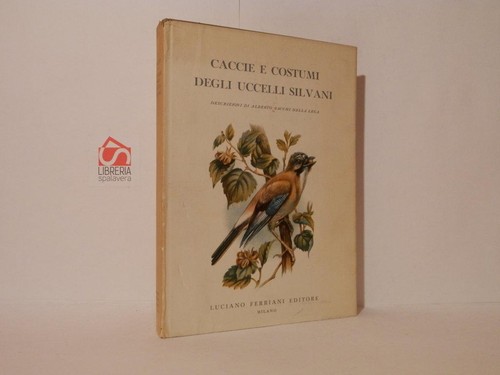 Wildvogeljagden und kostüme - und,