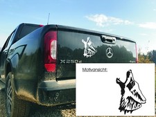 Wolf - Wölfe - Tier - Kopf //