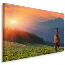 CANVAS Leinwand Bilder XXL
