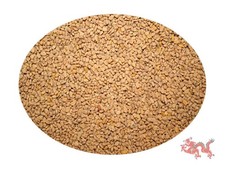 Bockshornklee 10000g
