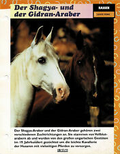 Der Shagya- und der Gidran-Araber (Leichte Pferde) - Infokarte