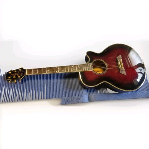 Takamine 391 - ef,