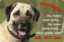 SIVAS KANGAL - A4 Alu Metall