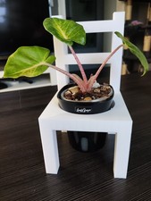 Blumenhocker Übertopf