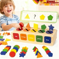 Montessori Spielzeug ab 2+ Jahr Holzspielzeug Kinder Farbe Sortierspiel Baby NEU