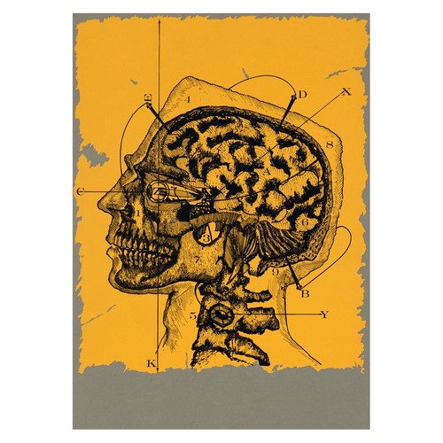 Anatomische