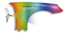 Kotflügel in Wunschfarbe