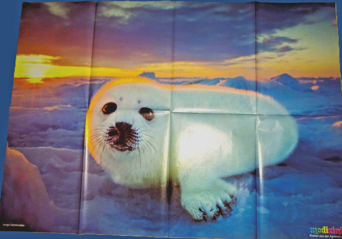 84x59 poster junge - 84x59,