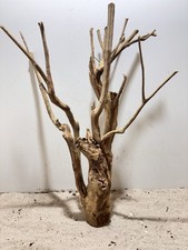 Talawa Wurzel XXL ähnlich